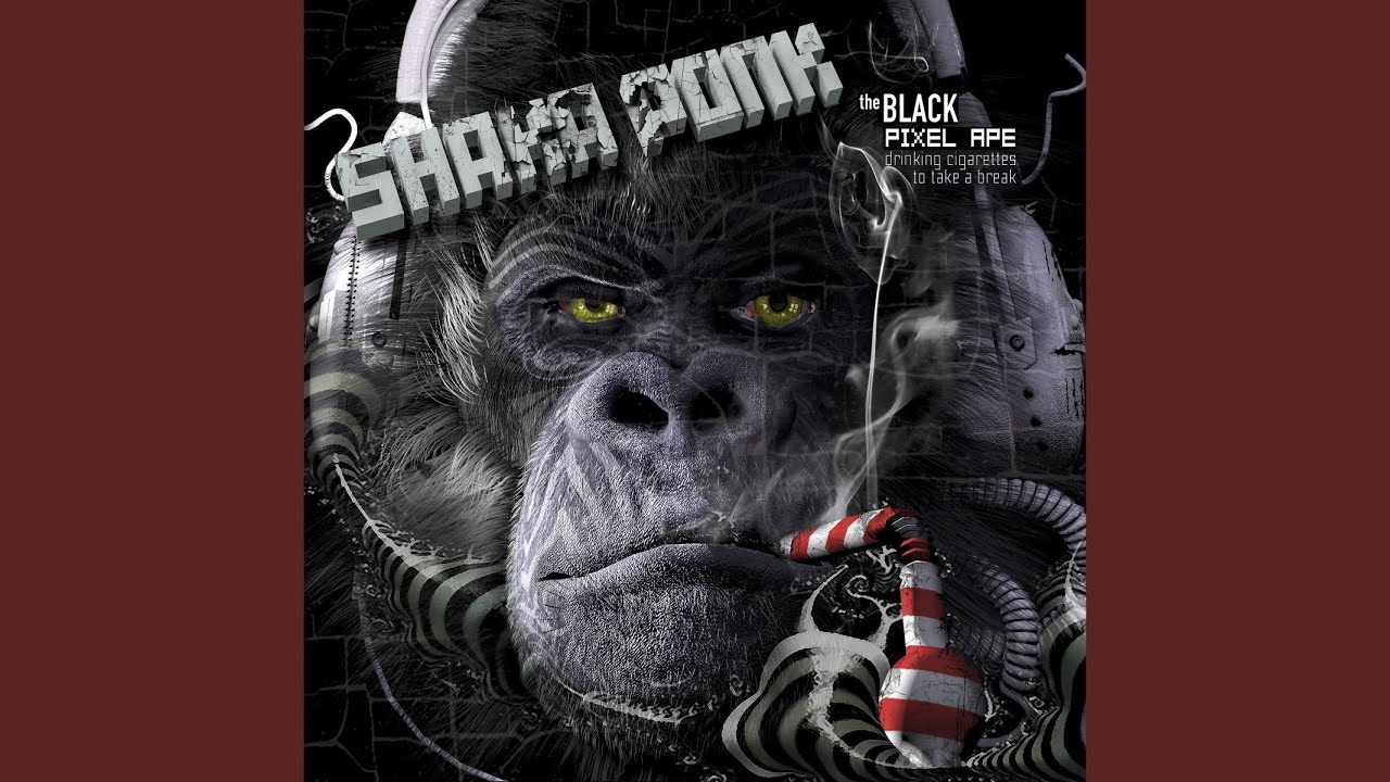 Come on Cama bekijken op YouTube Come on Cama bekijken op YouTube