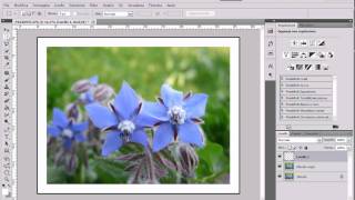 Tutorial - Bordi e cornici con Photoshop screenshot 4