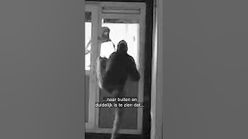 Kluis met 12.000 euro gestolen | Plaats Delict