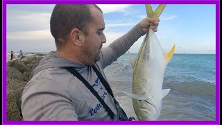 ⭐Como Pescar Jack Crevalle o Jiguagua en Miami Beach con Sardina Viva a Fondo ⭐