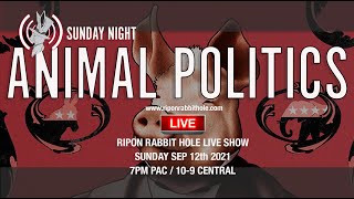 RIPON RABBIT HOLE LIVE - ANIMAL POLITICS