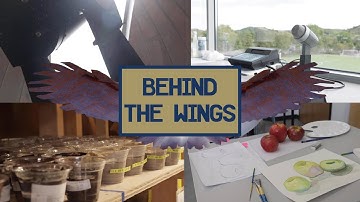 Behind The Wings Campus Tour | Student Life
