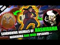 HASHIRAMA SAGE MODE EXPLAINED in hindi | Naruto hindi