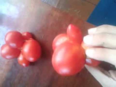 Video: Qeyri-adi Bir Pomidor Burgerini Necə Etmək Olar