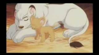 Animash-A sad video-Haratige of the wolf