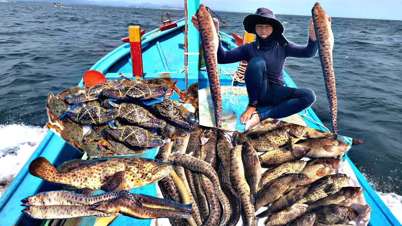 Từ Lúc Tới Giờ Chưa Lặn Được Như Hôm Nay Gặp 3 Ổ Cá Mú Cá Chình Ghẹ Ở Điểm Chà | P 820