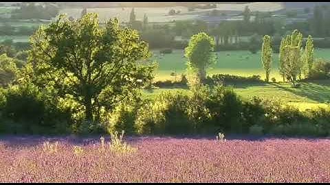 آيات من سورة الإسراء ..