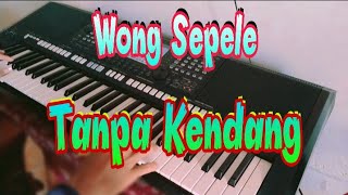 Wong Sepele (Ndarboy Genk) Tanpa Kendang & Vokal