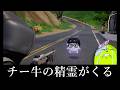 もう終わり。AIで生成された精霊がフォトナに登場するかもしれません...【フォートナイト/ゆっくり実況】