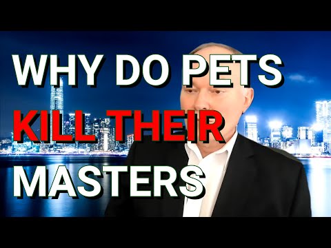 Why Do Pets Kill Their Masters | John Arc Show