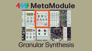 Granular synthesis patch with MetaModule!