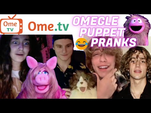 Omegle Puppet Pranks 1 - Hilarious Reactions! | PeterPrankster