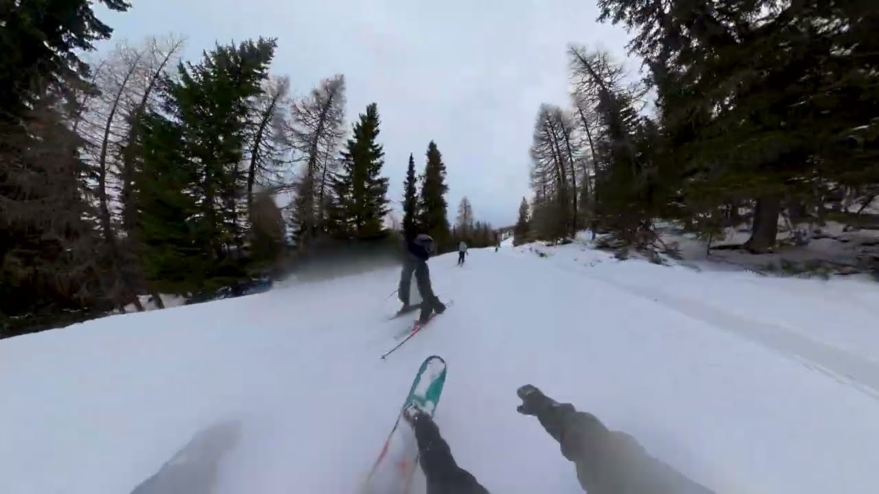 типо фрирайд