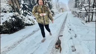 Это просто УНИКАЛЬНОЕ ВИДЕО гамадрил Анфиса гуляет по заснеженному парку!