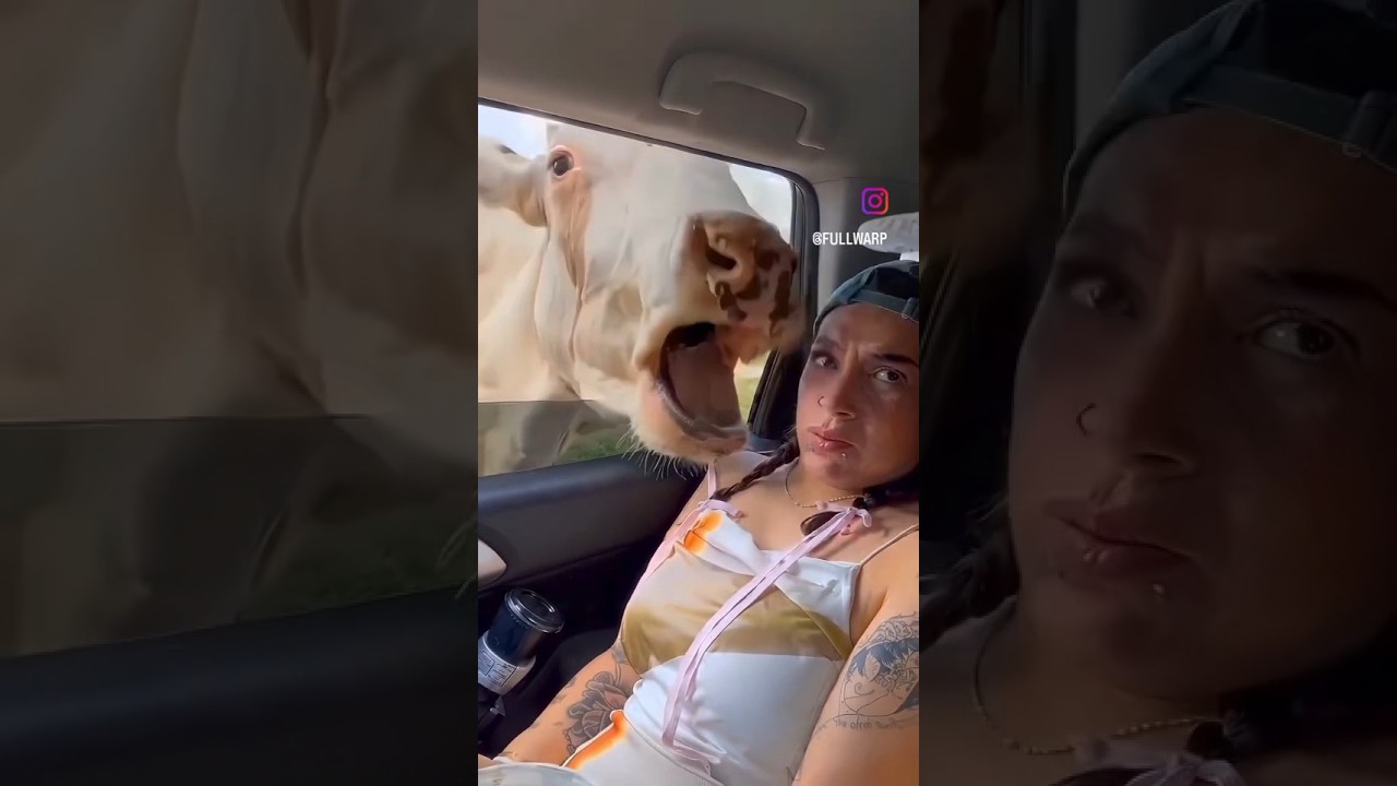 AI ny jan nikal di☹️ 