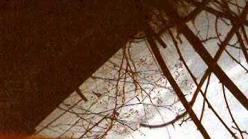 Syma X5C Fly at Dusk - Original Camera, Out of Range Crash