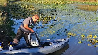 Pond Cleanup  Removing Lily Pads and Muck  Plus Adding Blue Dye