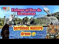 Zoológico de la Encantada en Zacatecas: el más accesible de la región. (Accidente con el drone)