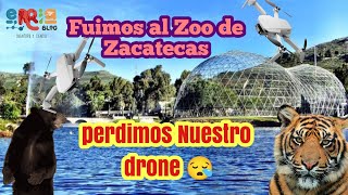 Zoológico de la Encantada en Zacatecas: el más accesible de la región. (Accidente con el drone)