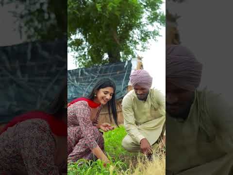 kaka |New Song|Latest 2023|#viral #viral top short video