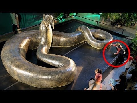 7 Animales Que Agradecerás Que Estén Extintos