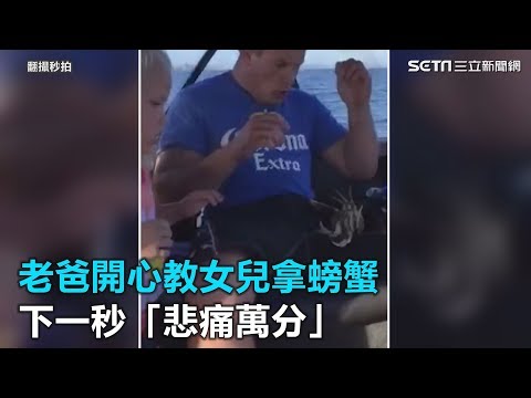 老爸開心教女兒拿螃蟹　下一秒「悲痛萬分」｜三立新聞網SETN.com