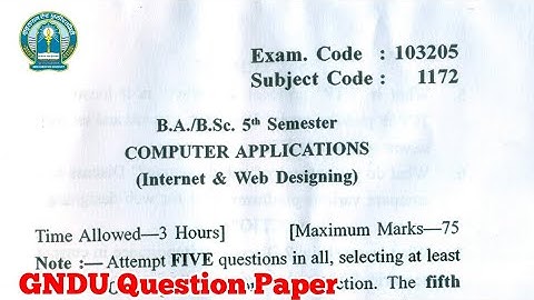 Gndu BA / Bsc 5th Semester Computer Applications Question Paper || Computer Applications Paper 2023