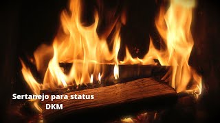 Sertanejo para status  /  [DKM] screenshot 5