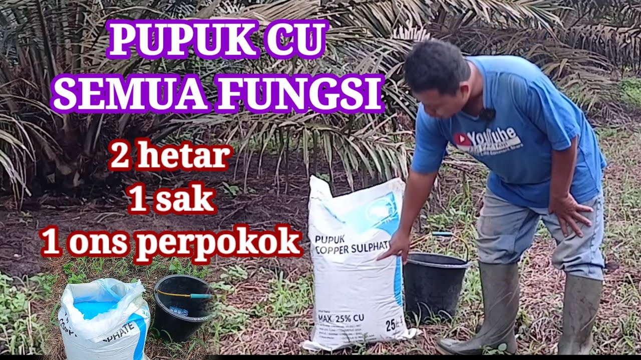 Pupuk Cu untuk Segala fungsi dan terbaik