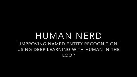 [DEMO] Human NERD - EDBT 2019