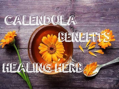 9 Amazing Health Benefits of Calendula