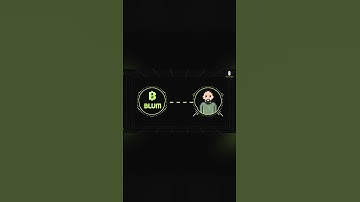 Blum’s Security Measures | Blum Academy