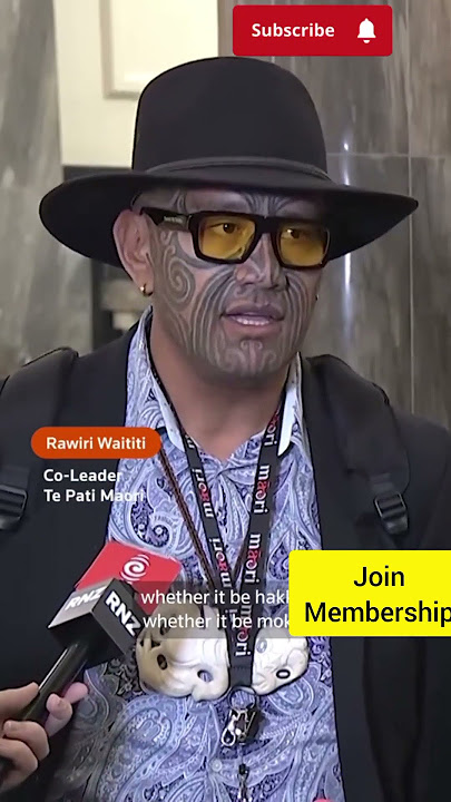 Suspended MPs New Zealand Parliament House #subscribe #shortsvideo #foryou