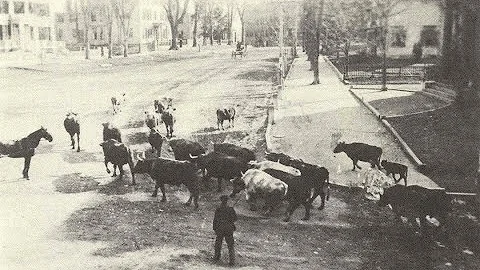 Exeter History Minute - Raynes Farm