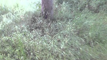 Bumerang Crash Alien 5" ImpulseRC