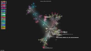 loco-rs/loco - Gource visualisation