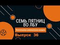 Викторина &quot;Семь пятниц во лбу&quot; квиз выпуск №36