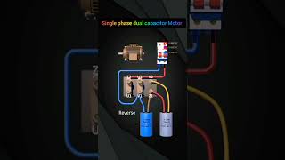 wiring of forward and reverse rotation of single- phase dual-capacitor motor #shorts  #electric