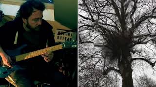 Backwoods - Reversed Guitar Ambience