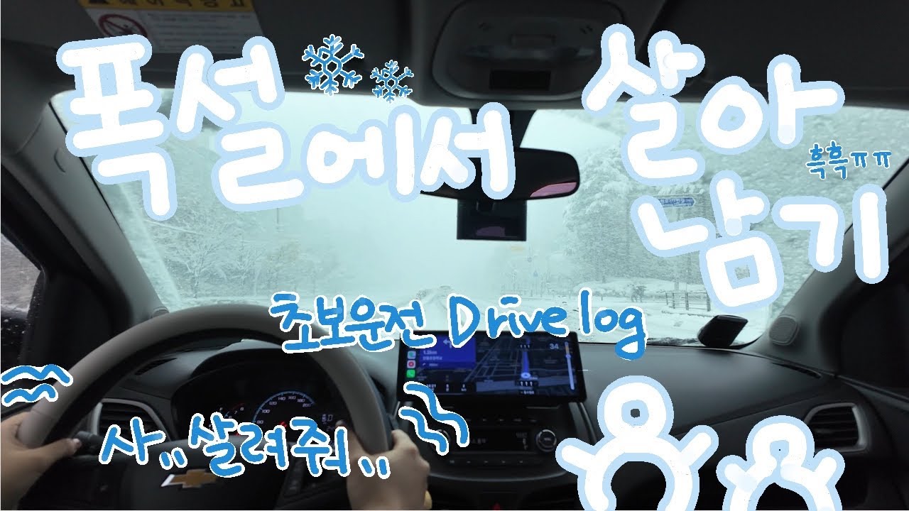 인생 첫 폭설 주행하는 초보운전 브이로그🚗｜브레이크를 밟아도 안멈춰,,,🥶｜살려줘...ㅠ