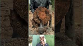 Creative Wood Splitting Process | দারুণ কৌশলে ছোট মেশিনে কাঠ ফাটানো হচ্ছে #shorts #creative #useful