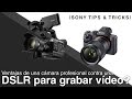 Ventajas de una cámara profesional contra una DSLR para grabar vídeo