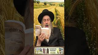 ספירת העומר גבורה שבתפארת   הרב שמואל שטרן ברסלב Breslev