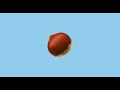 A Tribute to Nuts