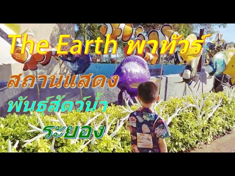 EP.4 The Earth พาทัวร์ สถานแสดงพันธุ์สัตว์น้ำระยอง