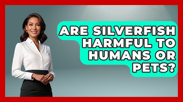 Are Silverfish Harmful To Humans Or Pets? - Insects and Invaders