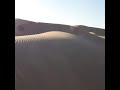 Abudhabi safare 2019