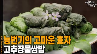 [한국인의 밥상] 농번기의 고마운 효자, ‘고추장물쌈밥’ | KBS 260820 방송