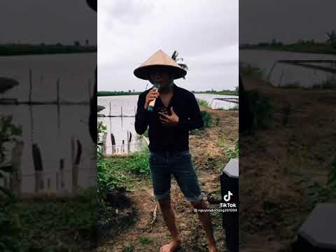 Video Anh thương Út lâu rồi (part 2) - youtube