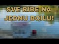 MLADE SNAGE CT KRAŠIĆA U AKCIJI!  Ozaljske šljunčare, jezero 6